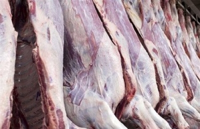 تکذیب افزایش نرخ گوشت به۱۱۰هزارتومان/واردات اولین محموله دام زنده